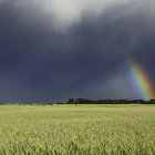 Rainbow in the fields of wheat Rainbow in the fields of wheat